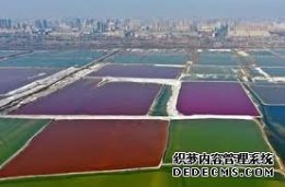 傲视皇朝平台APP大型研究揭示基因和肥胖双重推